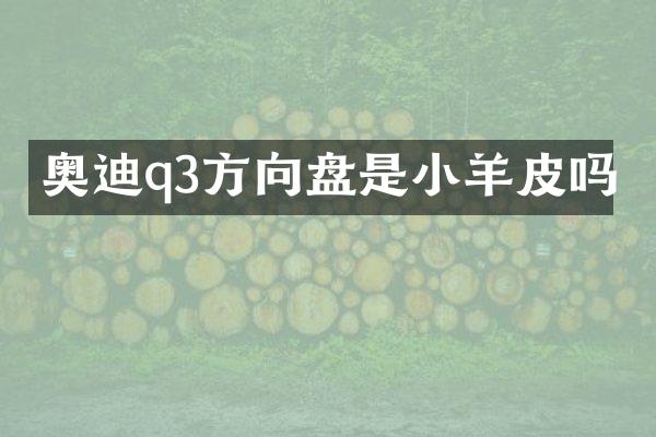 奥迪q3方向盘是小羊皮吗