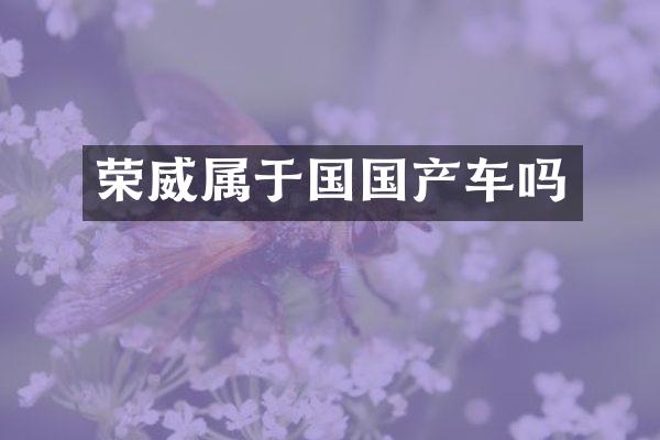 荣威属于国国产车吗