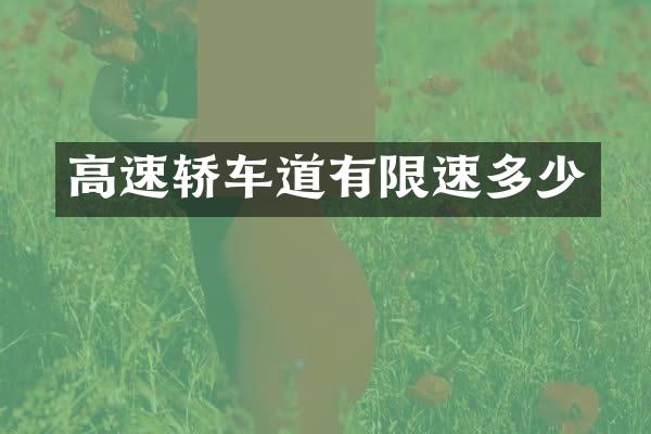 高速轿车道有限速多少