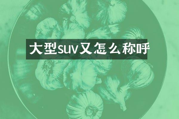 大型suv又怎么称呼