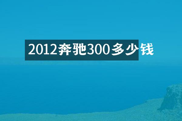 2012奔驰300多少钱