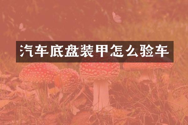 汽车底盘装甲怎么验车