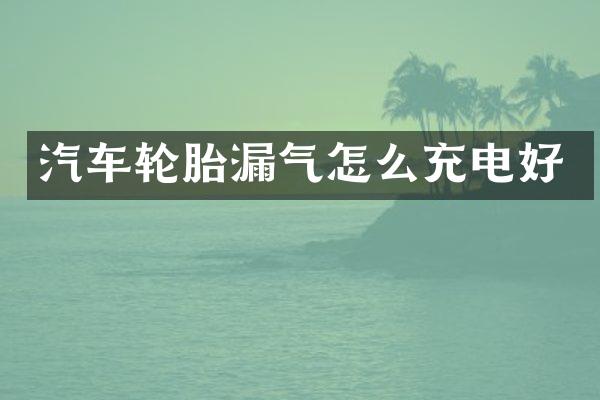 汽车轮胎漏气怎么充电好