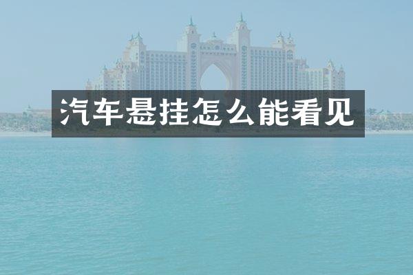 汽车悬挂怎么能看见