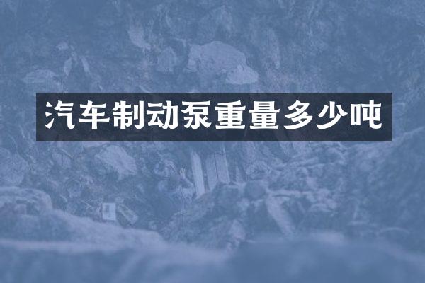 汽车制动泵重量多少吨