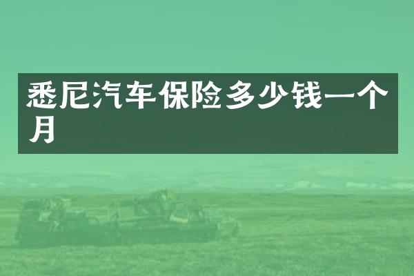 悉尼汽车保险多少钱一个月