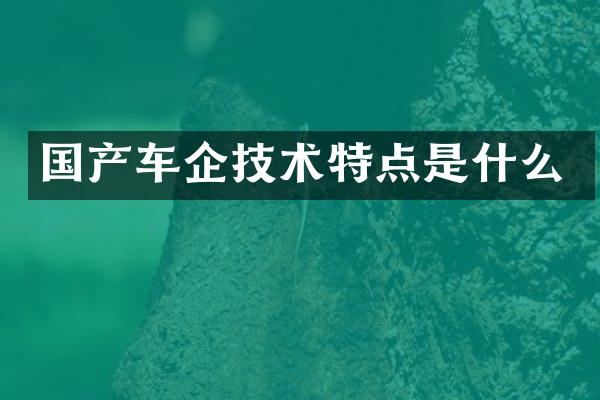 国产车企技术特点是什么