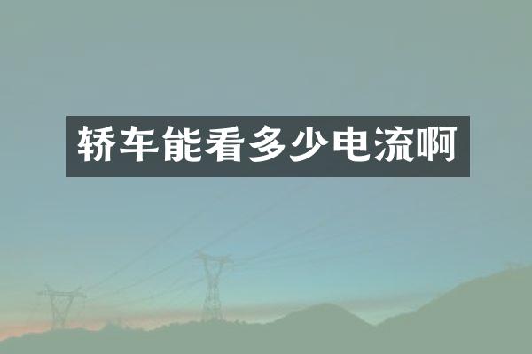 轿车能看多少电流啊