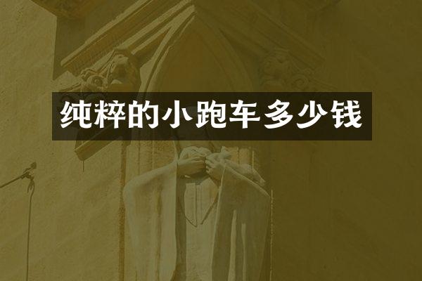 纯粹的小跑车多少钱