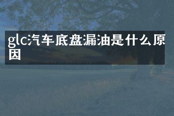 glc汽车底盘漏油是什么原因