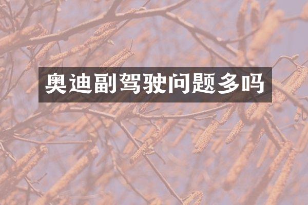 奥迪副驾驶问题多吗