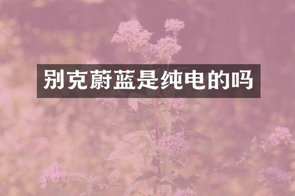 别克蔚蓝是纯电的吗