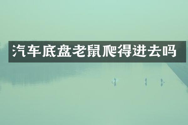 汽车底盘老鼠爬得进去吗