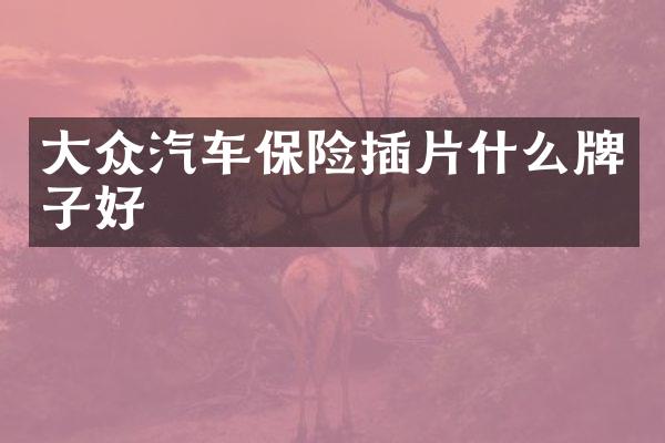 大众汽车保险插片什么牌子好