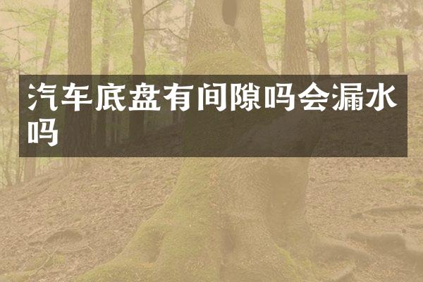 汽车底盘有间隙吗会漏水吗