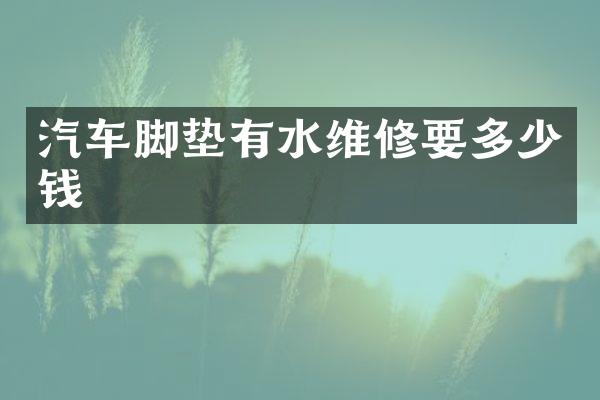 汽车脚垫有水维修要多少钱