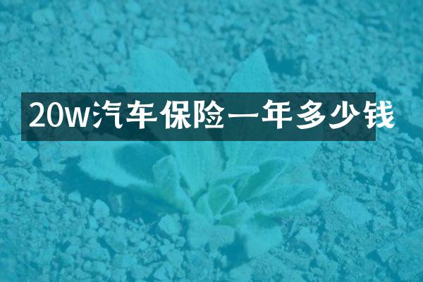 20w汽车保险一年多少钱