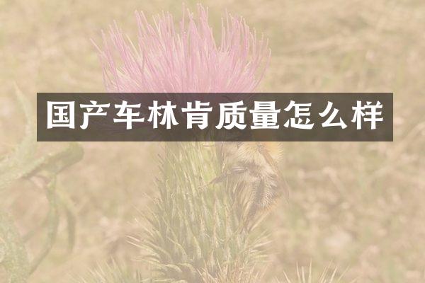 国产车林肯质量怎么样