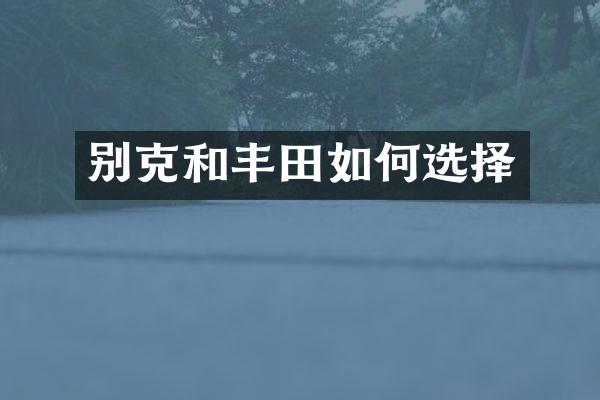 别克和丰田如何选择