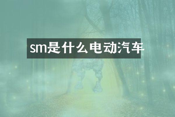 sm是什么电动汽车