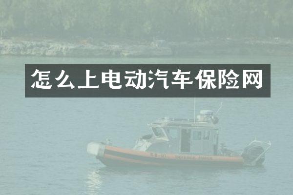 怎么上电动汽车保险网