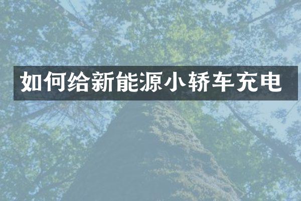 如何给新能源小轿车充电
