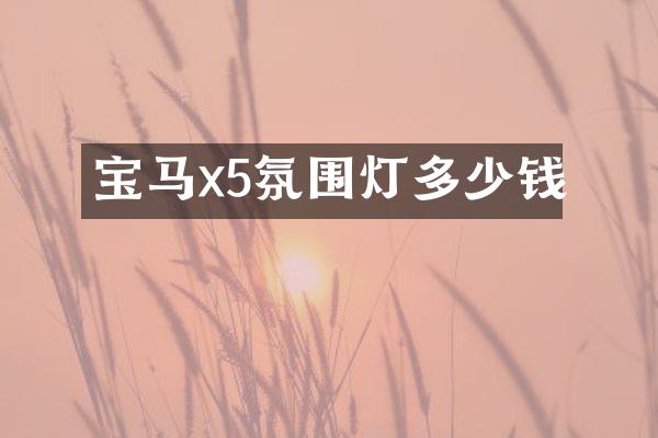 宝马x5氛围灯多少钱
