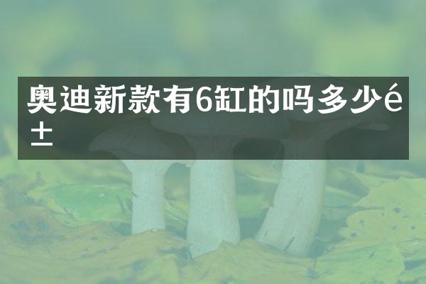 奥迪新款有6缸的吗多少钱