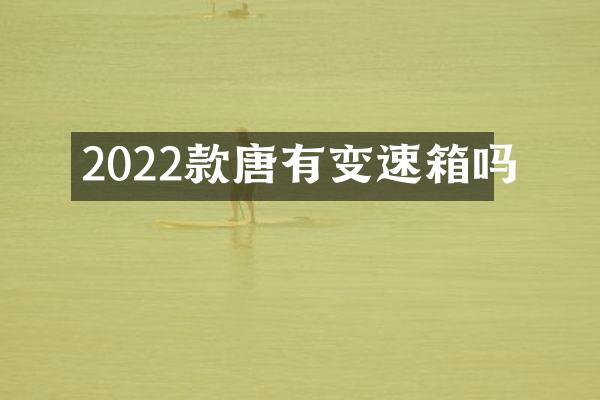2022款唐有变速箱吗