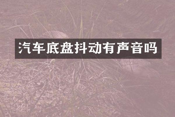 汽车底盘抖动有声音吗