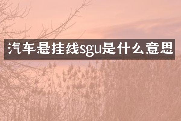 汽车悬挂线sgu是什么意思