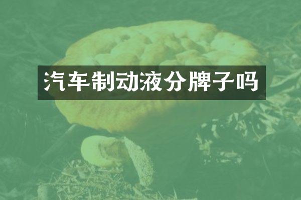 汽车制动液分牌子吗