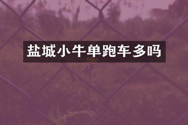 盐城小牛单跑车多吗