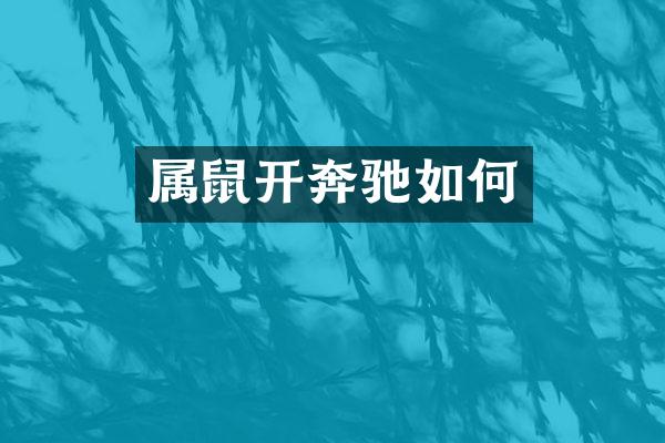 属鼠开奔驰如何