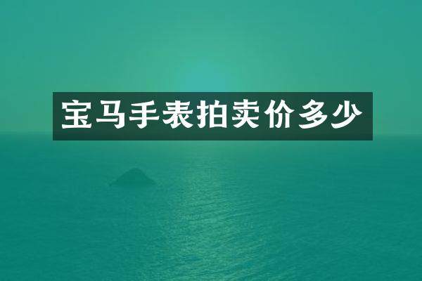 宝马手表拍卖价多少