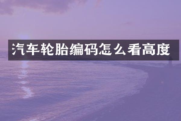 汽车轮胎编码怎么看高度