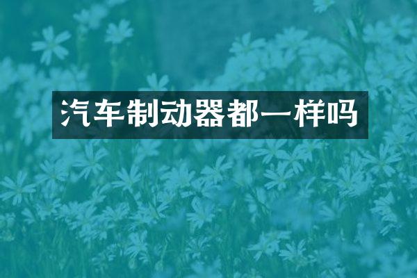 汽车制动器都一样吗