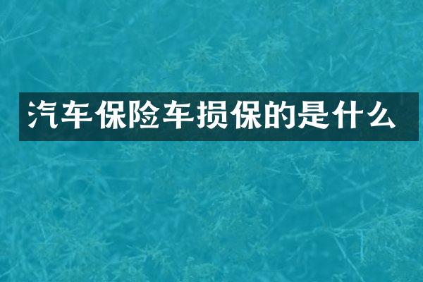 汽车保险车损保的是什么