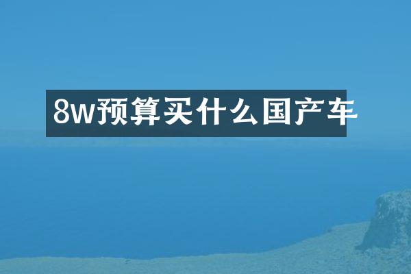 8w预算国产车