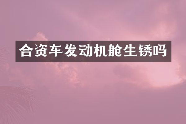 合资车发动机舱生锈吗