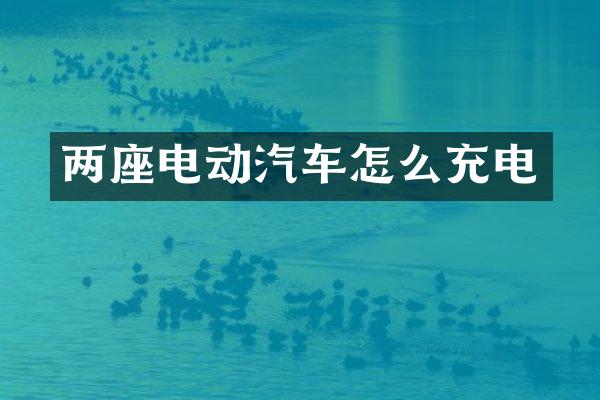 两座电动汽车怎么充电