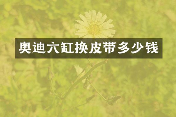 奥迪六缸换皮带多少钱