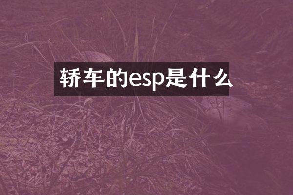 轿车的esp是什么