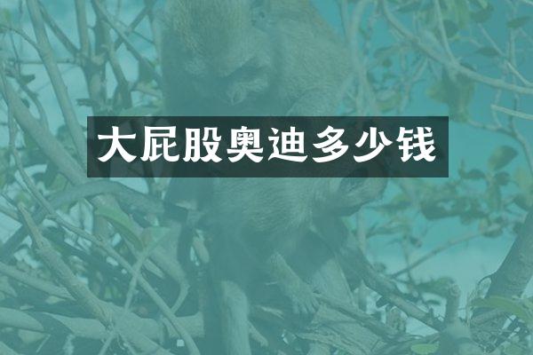 大屁股奥迪多少钱