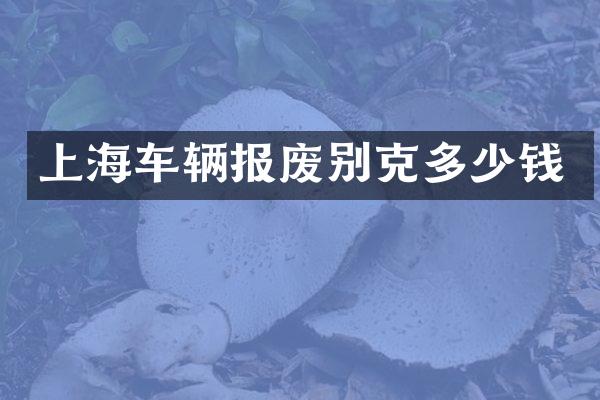 上海车辆报废别克多少钱