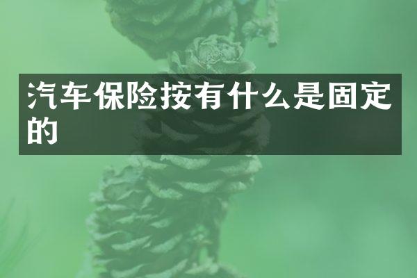 汽车保险按有什么是固定的