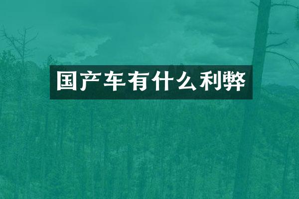 国产车有什么利弊