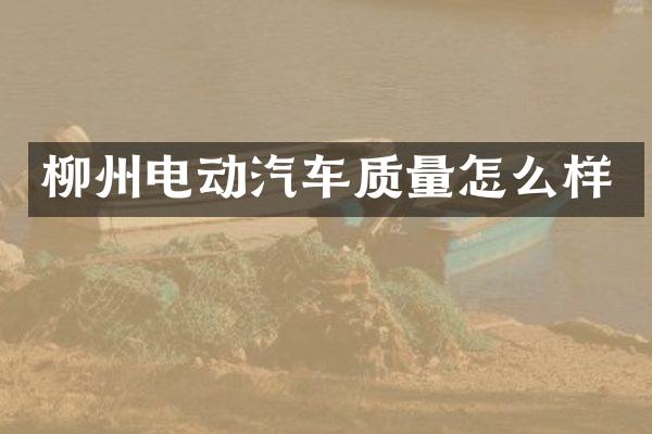 柳州电动汽车质量怎么样