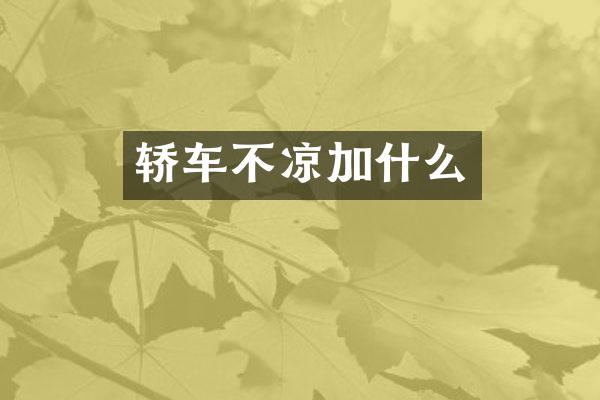 轿车不凉加什么