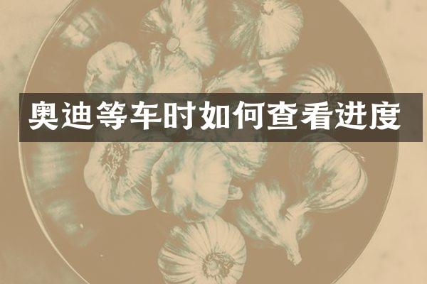 奥迪等车时如何查看进度